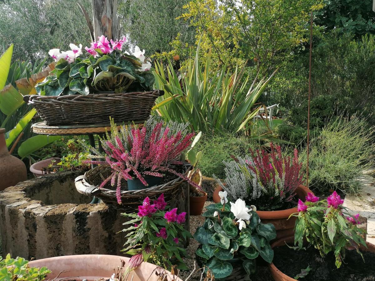 Il Giardino Del Te Barletta Exterior foto