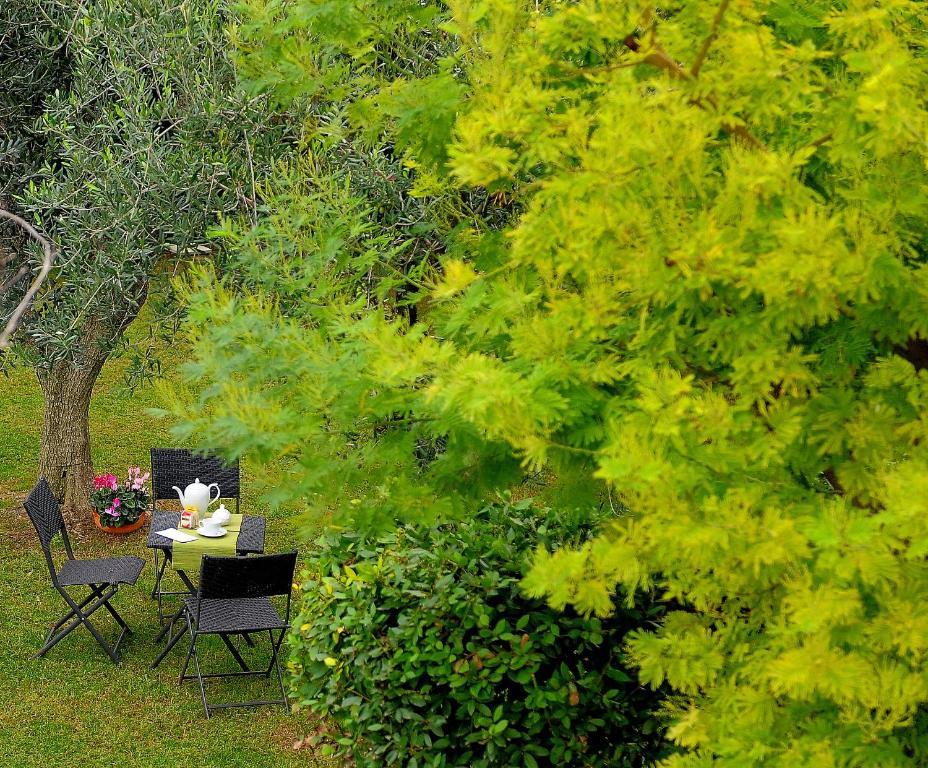 Il Giardino Del Te Barletta Exterior foto