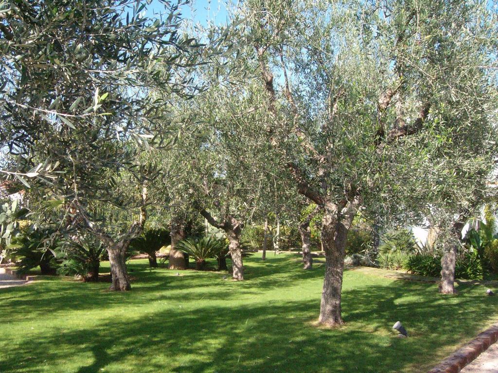 Il Giardino Del Te Barletta Exterior foto