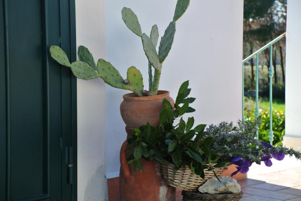 Il Giardino Del Te Barletta Quarto foto