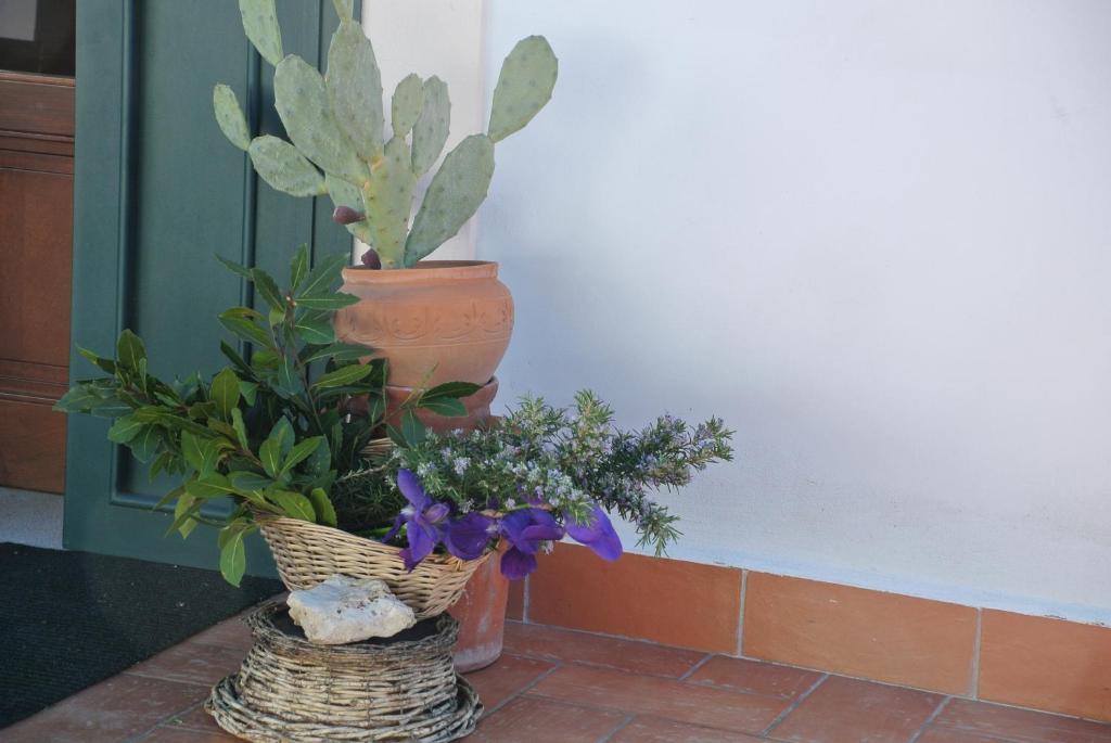 Il Giardino Del Te Barletta Exterior foto